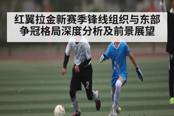 红翼拉金新赛季锋线组织与东部争冠格局深度分析及前景展望